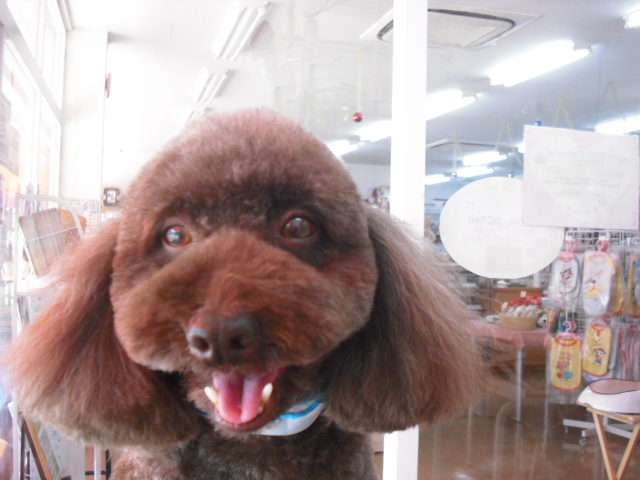 チャーリーくん