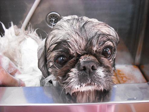 ファイル 1-2.jpg