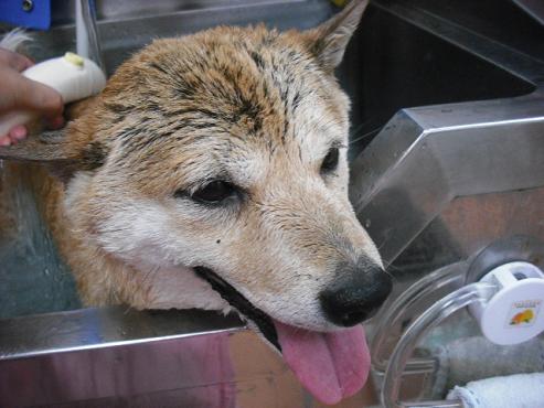 ファイル 10-2.jpg