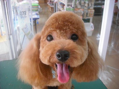 ファイル 1000-1.jpg