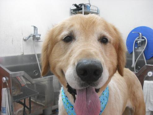 ファイル 1001-1.jpg