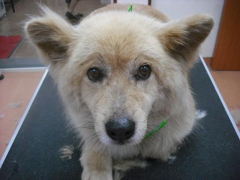 ファイル 1002-1.jpg