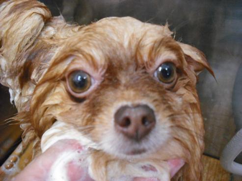 ファイル 1003-2.jpg