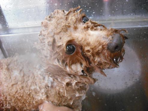 ファイル 1004-2.jpg