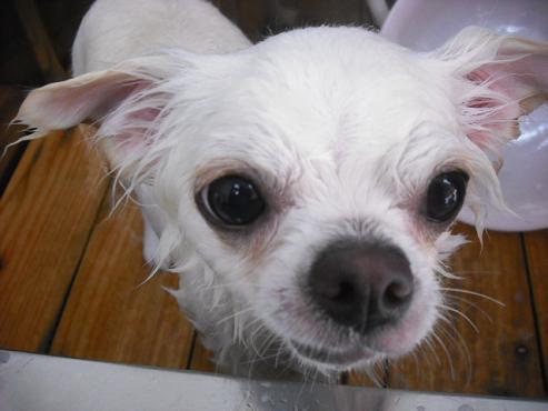 ファイル 1005-2.jpg