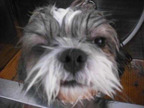 ファイル 1006-2.jpg