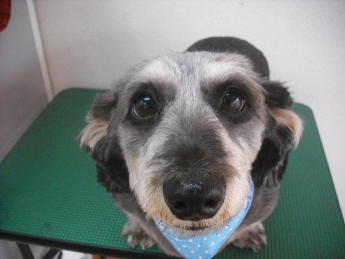 ファイル 1007-1.jpg