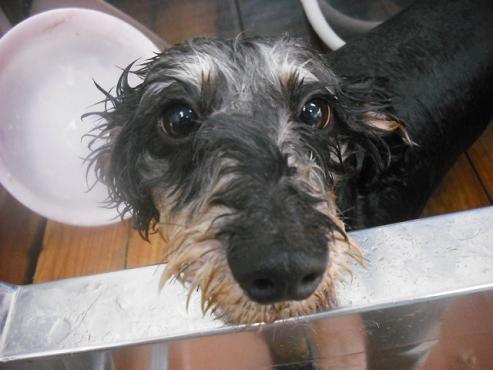 ファイル 1007-2.jpg