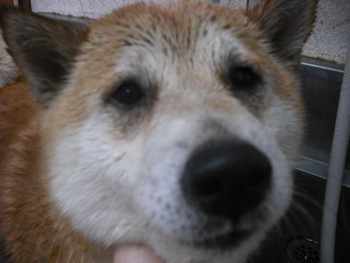 ファイル 1008-2.jpg