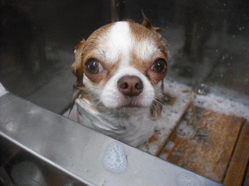 ファイル 1009-2.jpg