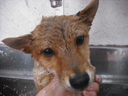 ファイル 101-3.jpg