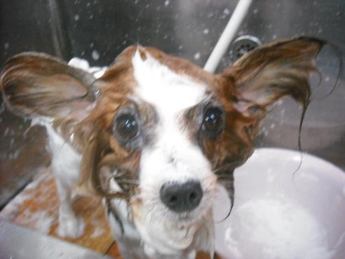 ファイル 1014-2.jpg