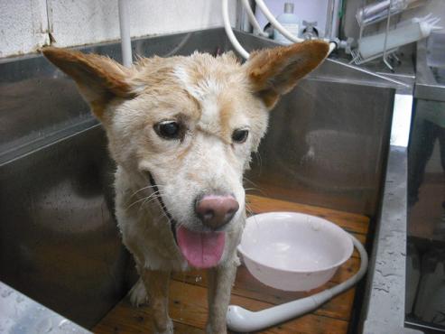 ファイル 1016-2.jpg