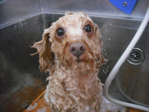 ファイル 1018-2.jpg