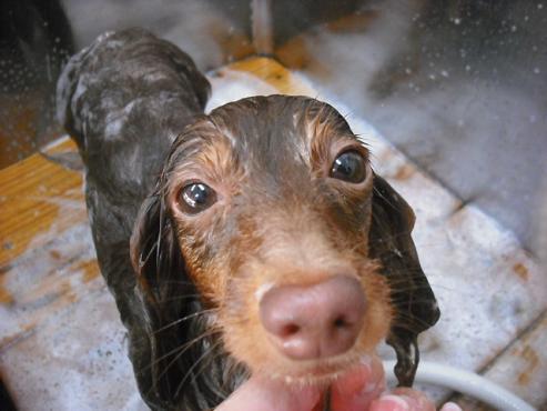 ファイル 102-3.jpg