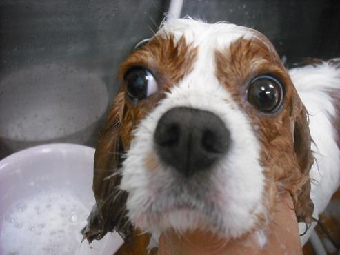 ファイル 1021-2.jpg