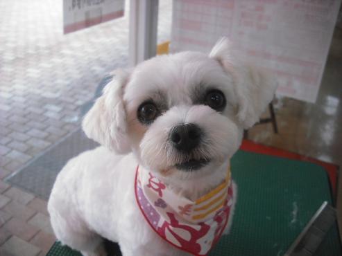 ファイル 1022-1.jpg