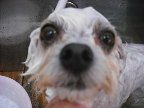 ファイル 1022-2.jpg