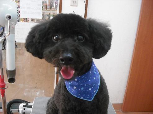 ファイル 1023-1.jpg