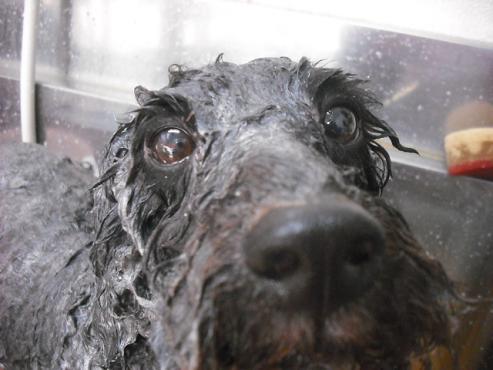 ファイル 1023-2.jpg