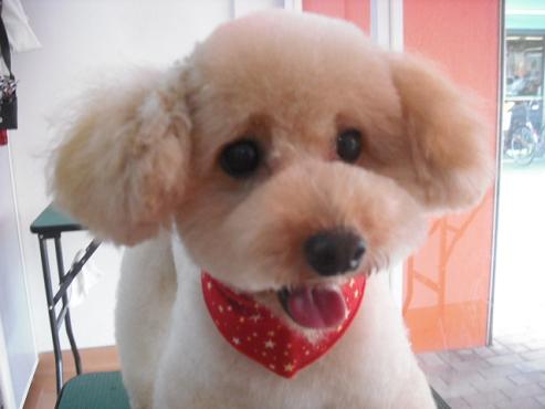 ファイル 1024-1.jpg