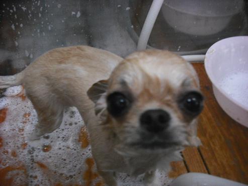 ファイル 1025-2.jpg