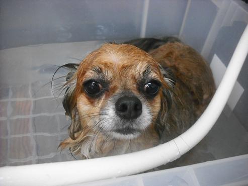 ファイル 1027-2.jpg