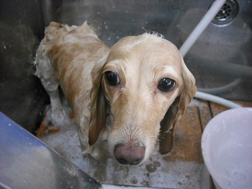 ファイル 1028-2.jpg