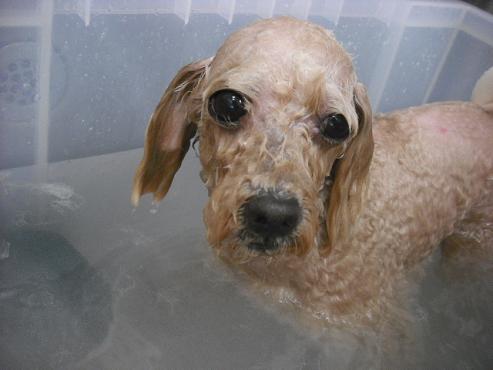 ファイル 1029-2.jpg