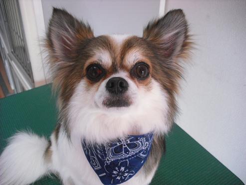 ファイル 103-1.jpg