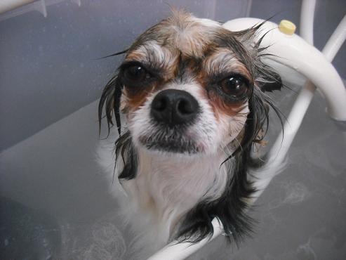 ファイル 103-2.jpg