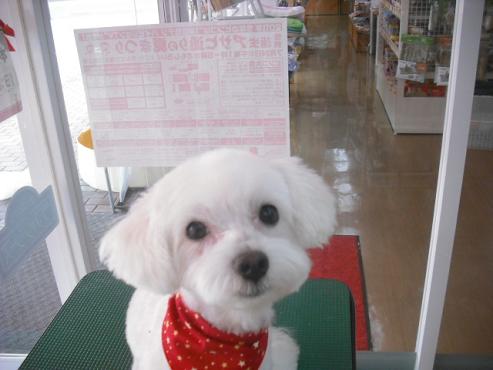 ファイル 1030-1.jpg