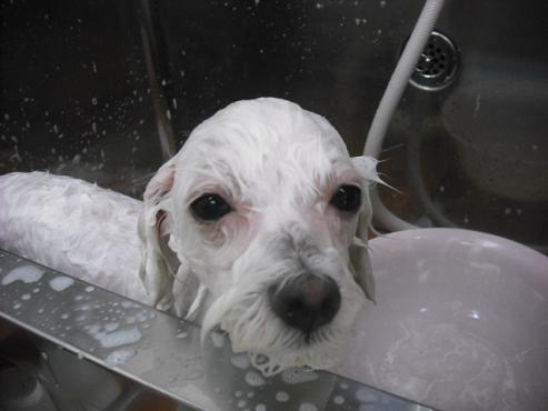 ファイル 1030-2.jpg