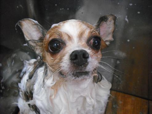 ファイル 1032-2.jpg