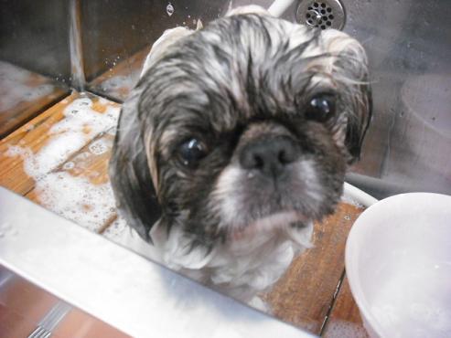 ファイル 1034-2.jpg