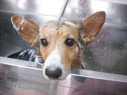 ファイル 1035-2.jpg