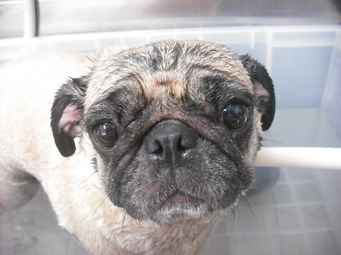 ファイル 1037-2.jpg