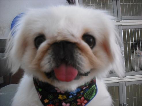 ファイル 1038-1.jpg