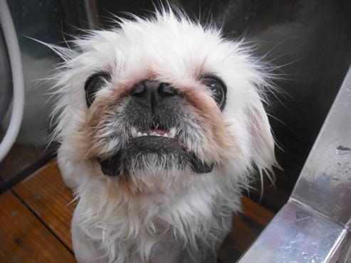 ファイル 1038-2.jpg