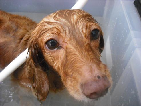 ファイル 1039-2.jpg