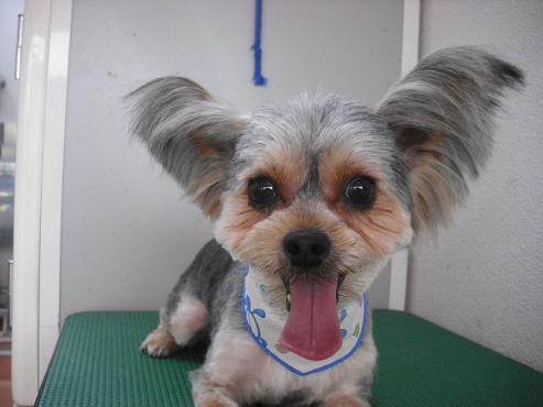 ファイル 104-1.jpg