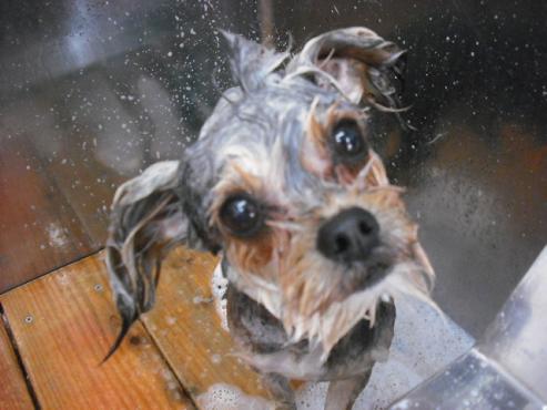 ファイル 104-3.jpg