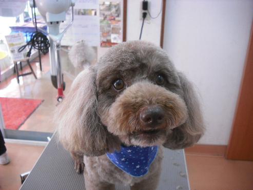 ファイル 1040-1.jpg