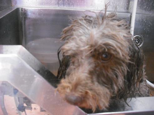 ファイル 1040-2.jpg