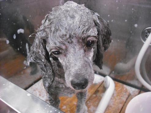 ファイル 1041-2.jpg