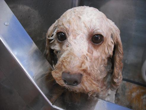 ファイル 1042-2.jpg