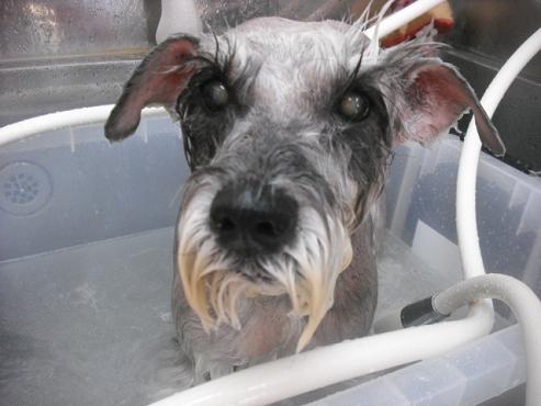 ファイル 1043-2.jpg