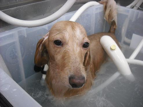 ファイル 1044-2.jpg