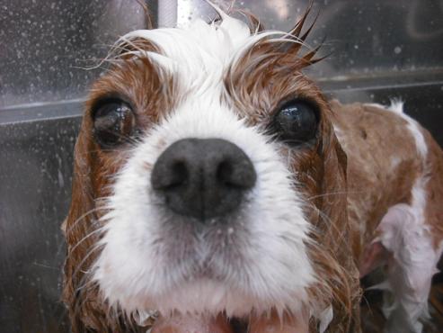 ファイル 1045-2.jpg