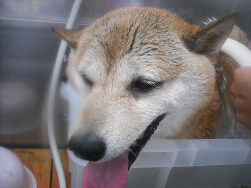 ファイル 1046-2.jpg